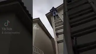 para combatir los murcielagos
