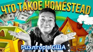 НАЛОГ НА НЕДВИЖИМОСТЬ🏠💲🗽 ЧТО ТАКОЕ HOMESTEAD