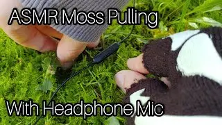 ASMR||Moss Pulling💚🍄With Earphone Mic💜