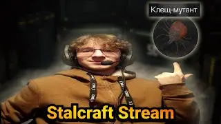 Фармлю МЦ-558 за стрим! Розыгрыш лута с кейсов на RU за 60 лайков на стриме! | EU Stalcraft