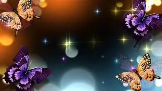 Light effect black screen | Effect video (Wd Wedding Effects)