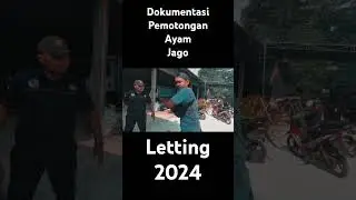 Pemotongan Ayam Jago PSHT.