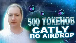 Получаем 500 токенов от нового проекта Catly сразу на Binance
