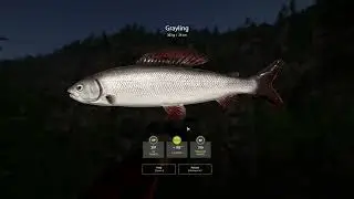 RF4 - [Belaya River] What NOT to do to get 200S/HR