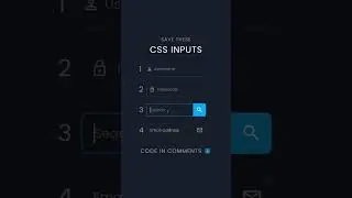 4 Input Designs For Fronted Developer | Input Using html  & css | 