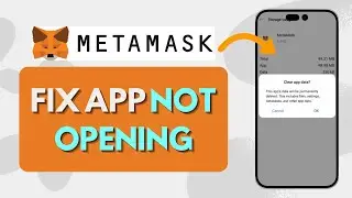 How To Fix MetaMask App Not Opening (Easy Steps)