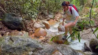 Camping deep in the forest, relax by the stream, nature sounds for good sleep
