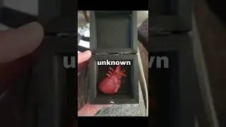 Unexpected things people FOUND 🤯🔍