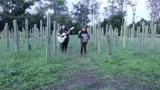 no borders - me niego a creer