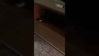 Матрица в реальной жизни