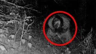 5 Жутких Явлений И Призраков Снятых На Камеру