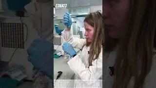 Качественная реакция на определение холина