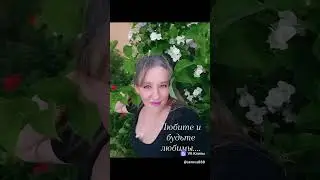 Добрый вечер!