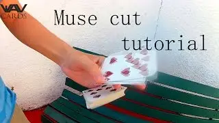 Muse cut - Tutorial \ Cardistry: One Handed cuts #42