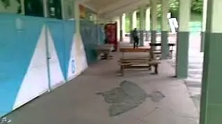 На роліках