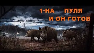 УЯЗВИМОЕ МЕСТО У КОБАНА | СТАЛКЕР ОНЛАЙН | STAY OUT