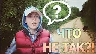 Что не так?!