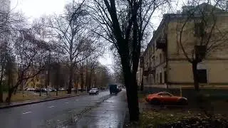 Вересковая 16, Магнит