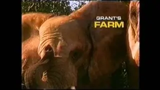 St. Louis Commercials - Fox Sports Midwest 1998