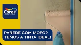Coral Renova | Clean the mold? Don't make it complicated!