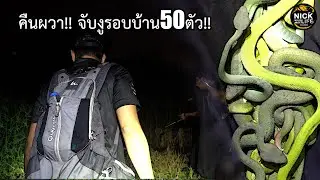ลุยดิบ EP.133 คืนผวา!! จับงู50ตัว