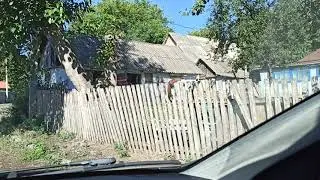 МНЕ ПЕРЕШЛА ДОРОГУ БЕЛКА (Серия: 