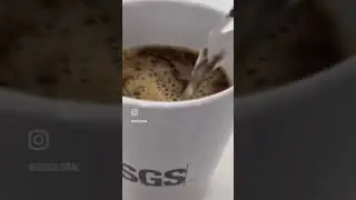 A day in the life of a scientist at SGS 