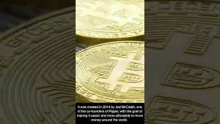 Stellar Crypto Network #stellar #cryptocurrency #moneygram #xrp #xlm #cdbc