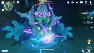 Genshin Impact. Гідротульпа