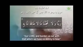 Dua | Masnoon dua | soorat baqra ki akhri ayat #shortvideo #shortislamicvideo