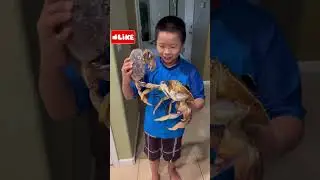 Crabs 🦀battle 😂🤣
