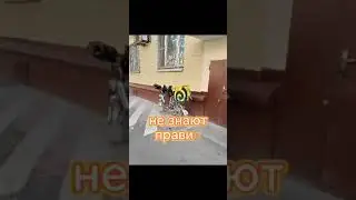 мигранты на улицах Москвы