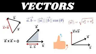 Everything You Need To Know About Vectors - Part-1