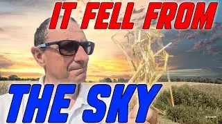 It Fell from the Sky