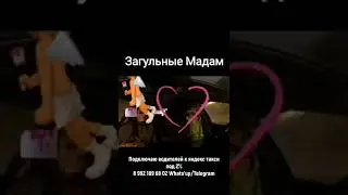 ХОЧЕТ ТАКСИСТА 
