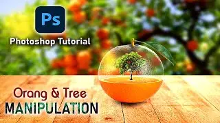 ORANGE & TREE MANIPULATION || PHOTOSHOP TUTORIAL
