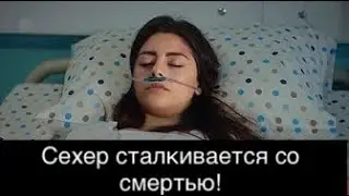 ДОВЕРЕННОЕ 311! Сехер сталкивается со смертью!
