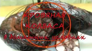 Homemade blood sausage