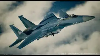 [ACE COMBAT 7][F-15 S/MTD General Resource Skin]