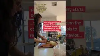 The Earlier You Address The Behavior with your Picky Eater MEALTIMES | FOOD REFUSAL | PICKY TODDLER