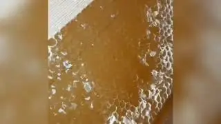 Как мы качаем МЁД