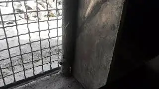 Бункерная кормушка для свиней своими руками