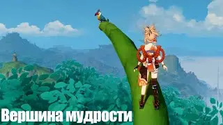[Genshin Impact] Вершина мудрости (скрытое достижение, Сумеру)