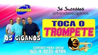 Toca o Trompete - Lançamento 2023 - Banda Os Ciganos Lambadão
