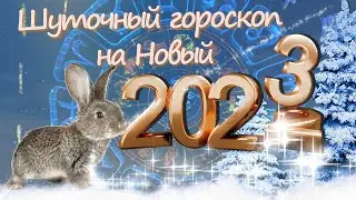 Весёлый, шуточный гороскоп на 2023 год по знакам  зодиака.