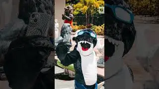 POV: You got invited to the NHL mascot pool party. 🤭 #nhl #hockey