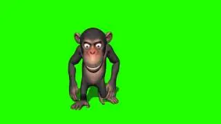 monkey walk in green screen
