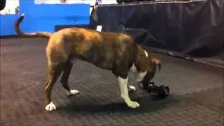 Kino moving some weight