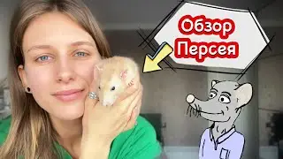 Как себя чувствует Персей после операции 🐀