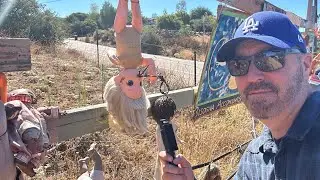 DEAD DOLLY LANE IN SAN DIEGO